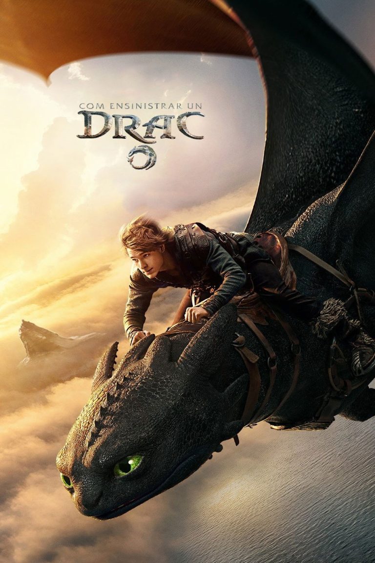 Com ensinistrar un drac